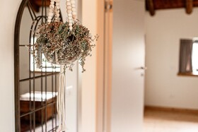 Bed & Breakfast Foresteria