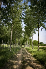 Relais Tenuta il Cigno