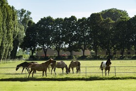 Relais Tenuta il Cigno