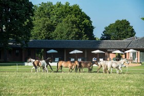 Relais Tenuta il Cigno