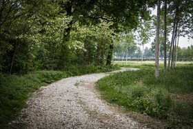Relais Tenuta il Cigno