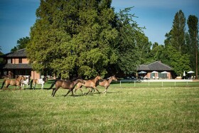 Relais Tenuta il Cigno