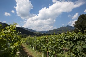 Podere Castel Merlo