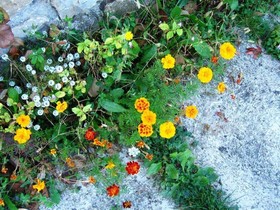 Agriturismo Masseria Santa Lucia