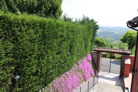 Locanda Pastura La Ghersa