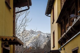 Mirtillo Alpino Casa Vacanze