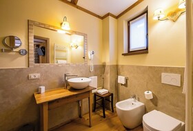 Mirtillo Alpino Casa Vacanze