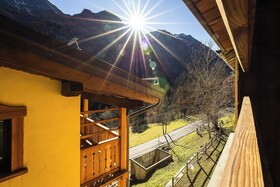 Mirtillo Alpino Casa Vacanze