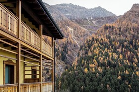 Mirtillo Alpino Casa Vacanze