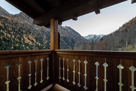 Mirtillo Alpino Casa Vacanze