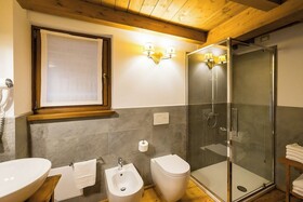 Mirtillo Alpino Casa Vacanze