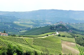 Villa Bellavista Alba