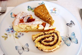 Villa Bellavista Alba