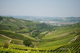 Villa Bellavista Alba