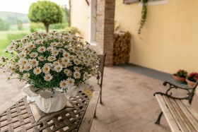 Villa La Casa In Collina