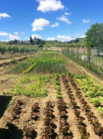 Le Due Cascine Agriturismo
