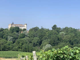 Ristorante Albergo Motta