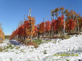 Bed And Breakfast San Fiorenzo