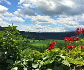 Bed And Breakfast San Fiorenzo