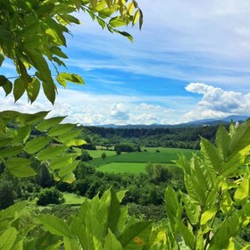 Bed And Breakfast San Fiorenzo