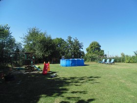 La Rosa Tra Le Vigne