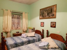 La Rosa Tra Le Vigne