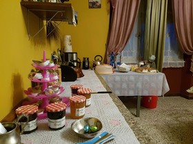 La Rosa Tra Le Vigne