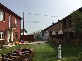 La Rosa Tra Le Vigne