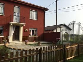 La Rosa Tra Le Vigne