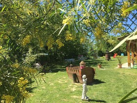 La Rosa Tra Le Vigne