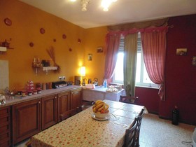 La Rosa Tra Le Vigne