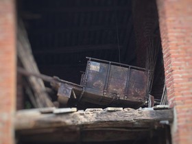 La Rosa Tra Le Vigne