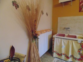 La Rosa Tra Le Vigne