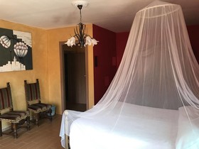 La Rosa Tra Le Vigne