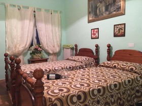 La Rosa Tra Le Vigne