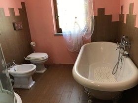 La Rosa Tra Le Vigne