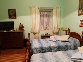 La Rosa Tra Le Vigne