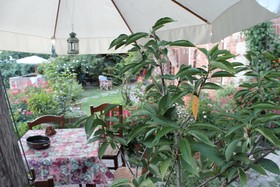 Ca' Norino B&B