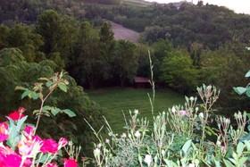 Ca' Norino B&B