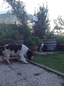 Ca' Norino B&B