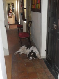 Ca' Norino B&B