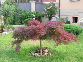 Villa Mery