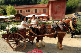 Agriturismo LA.TI.MI.DA.