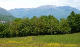 Il Vole
