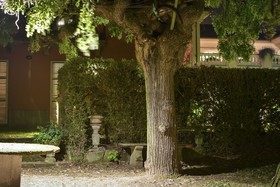 Villa Fiorita