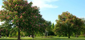 Relais 23 (Ventitre)