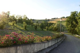Monferrato Resort