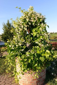 Monferrato Resort