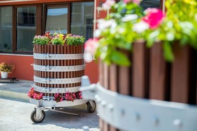 Vino E Turismo