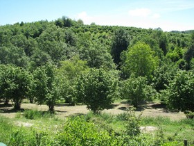 Agriturismo San Martino